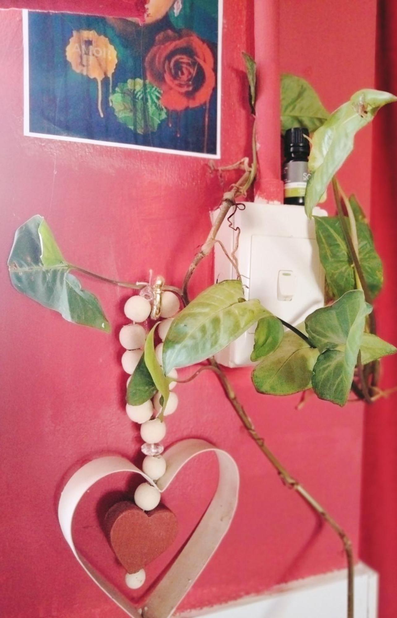 Appartamento Addo'S Secret Backdoor Port Elizabeth Esterno foto